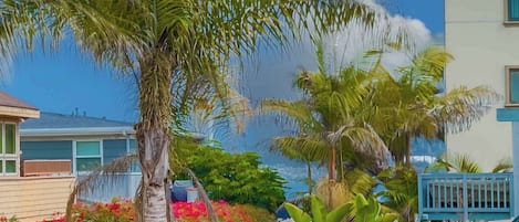 Terrein van de accommodatie