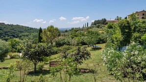 A lush green landscape with a bench, trees, and a distant view of hills and a building. - Cosy apartment in villa for 2 guests with A/C, WIFI, pool, TV and patio, close to San Gimignano (Gavignano)