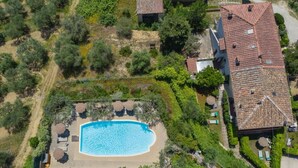Ovenudblik over en ejendom med swimmingpool omgivet af liggestole og parasoller, et hus med tegltag og frodig beplantning.