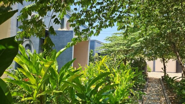 A pathway leading to a building with a blue facade and arched windows, surrounded by lush greenery. - Maggie Resthouse (Dar es Salaam)