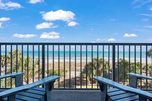 Property grounds - Carolina Dunes 202 - Oceanfront! (Myrtle Beach)
