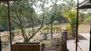 An outdoor patio area with a concrete floor, a wooden planter, and various trees and plants. - Uncle Bob's Farm Hotel Nyeri/Nanyuki (Nairobi)
