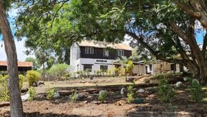 A two-story house with a visible front yard, surrounded by trees and vegetation. - Uncle Bob's Farm Hotel Nyeri/Nanyuki (Nairobi)