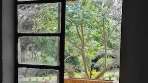 A view through a window with a wooden frame, revealing a garden with trees and a wooden planter. - Uncle Bob's Farm Hotel Nyeri/Nanyuki (Nairobi)