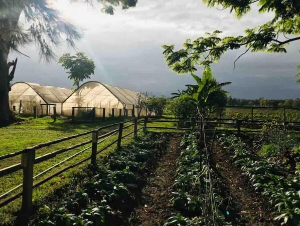 Áreas de la propiedad