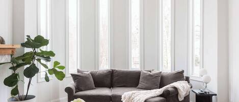 TV, fireplace, offices