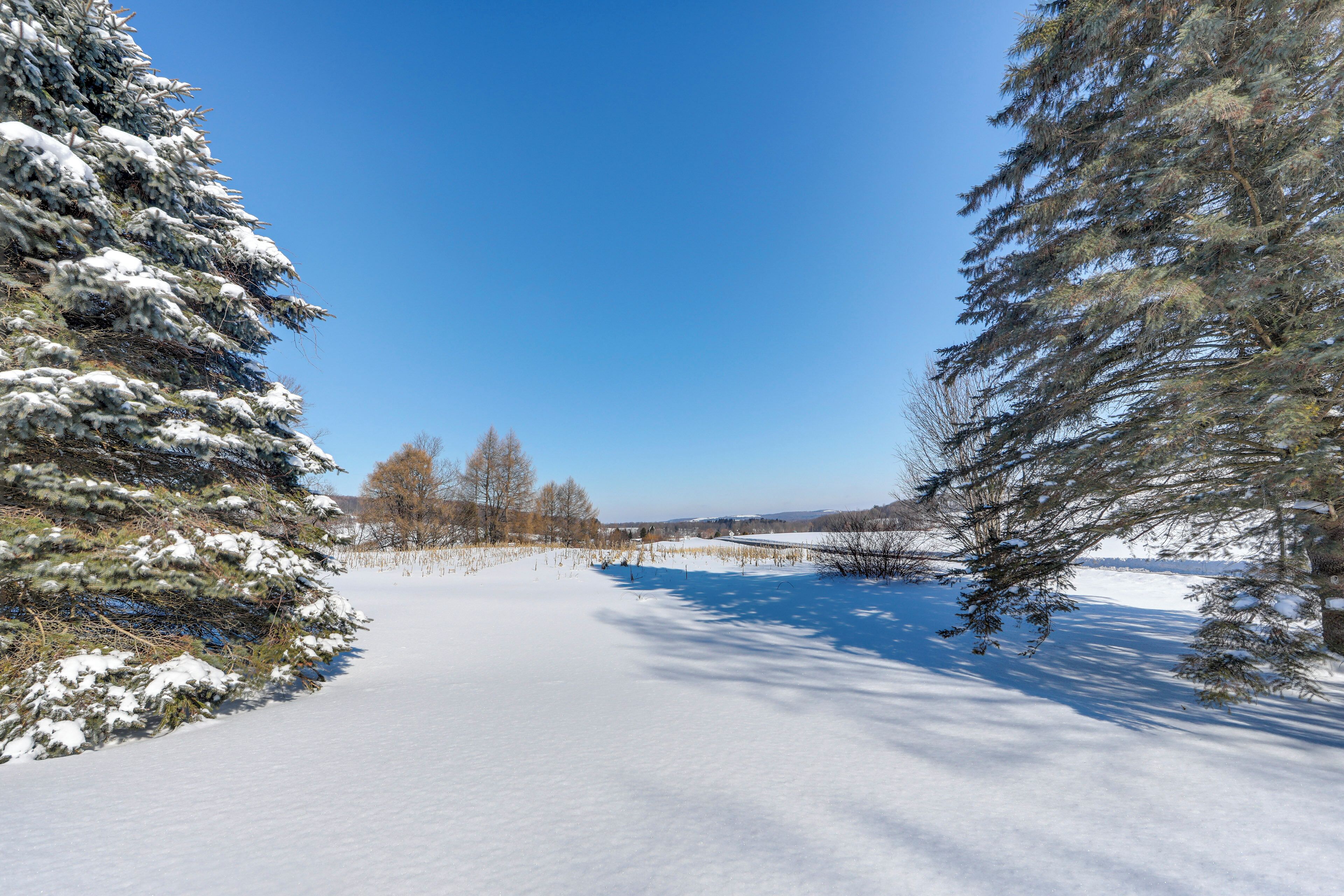 A snow-covered landscape with trees and a clear blue sky.