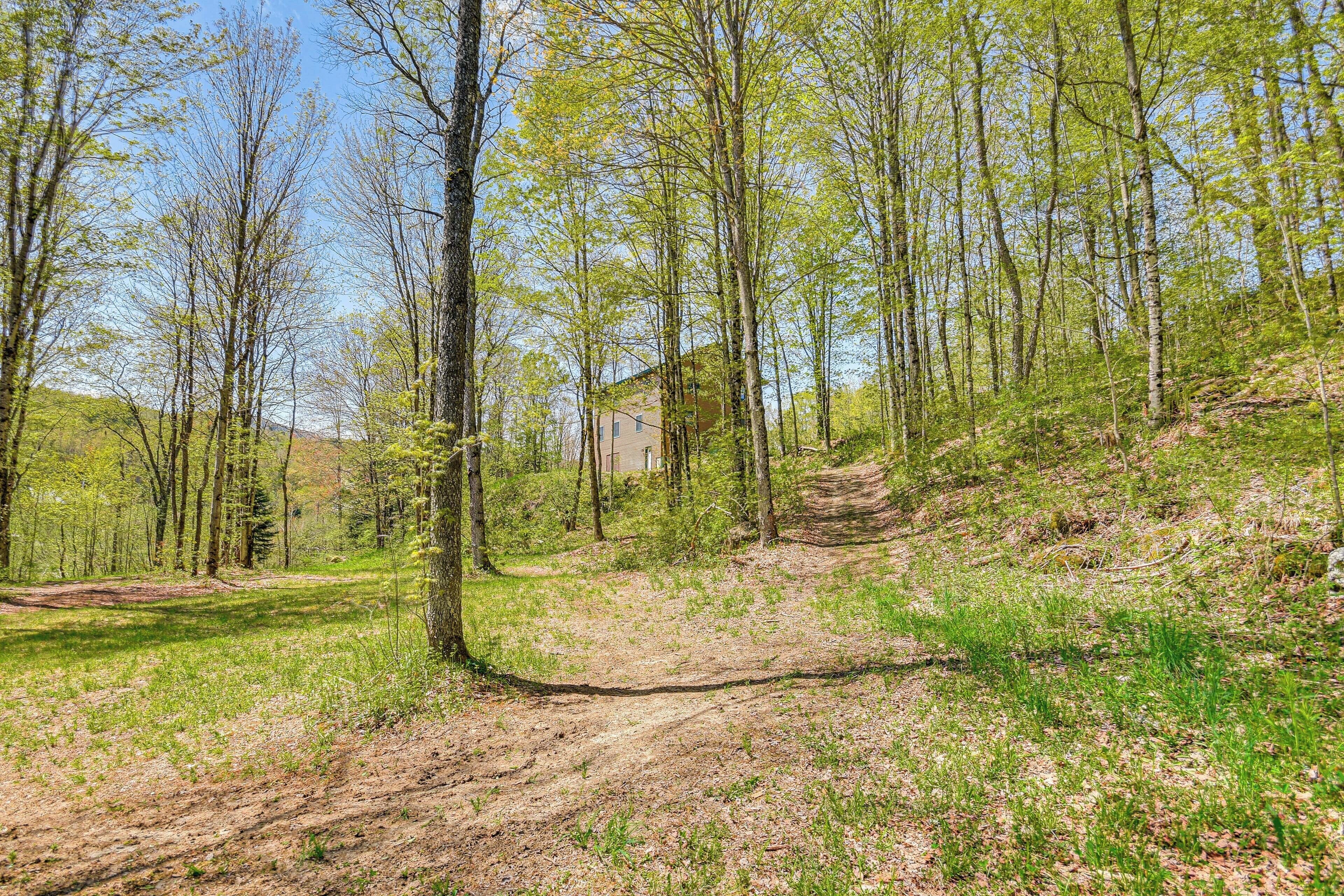 A forested area with a dirt path leading to a building.