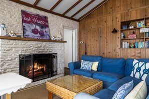 TV, fireplace, offices - Chick Coop (Suttons Bay)