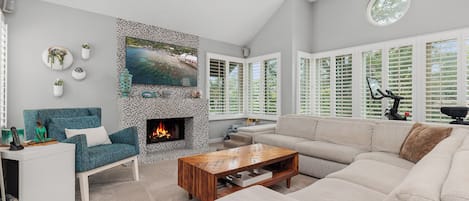 Smart TV, fireplace, books, stereo