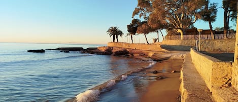 بالقرب من الشاطئ