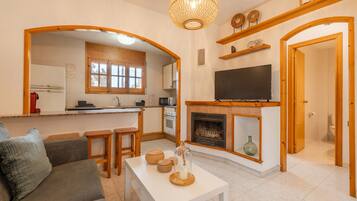 TV, fireplace