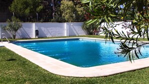 A rectangular swimming pool with a tiled edge, surrounded by a well-maintained lawn and a white wall. - Rotonda I 88 in Conil de la Frontera (Conil de la Frontera)