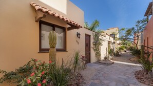 A courtyard with a cactus, flowering plants, and a stone pathway.