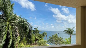 A view from a window overlooking a palm tree-lined beachfront with a clear sky. - Bayfront Condo: Your Sunset Paradise on Fort Myers Beach (Fort Myers Beach)