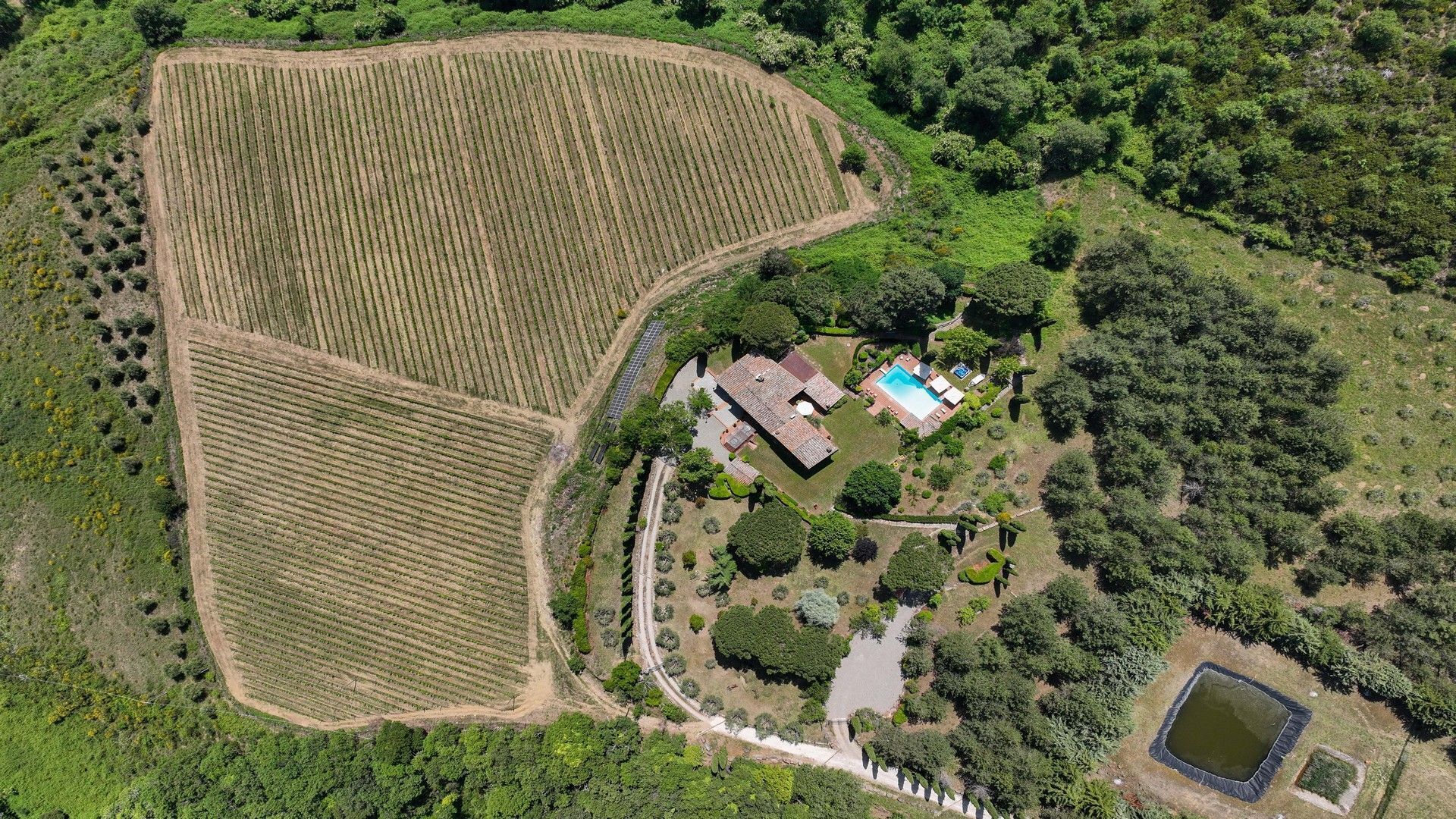 Vista aérea de una propiedad con piscina, una casa y campos circundantes.
