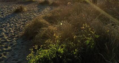 Nova Hill Cottage Ocean Views