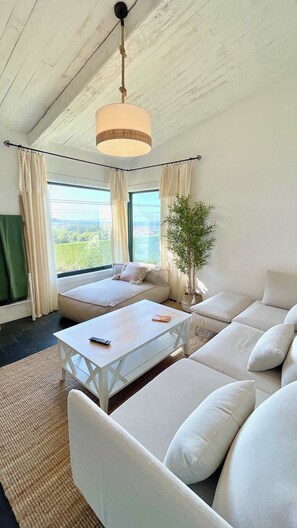 TV, fireplace, offices