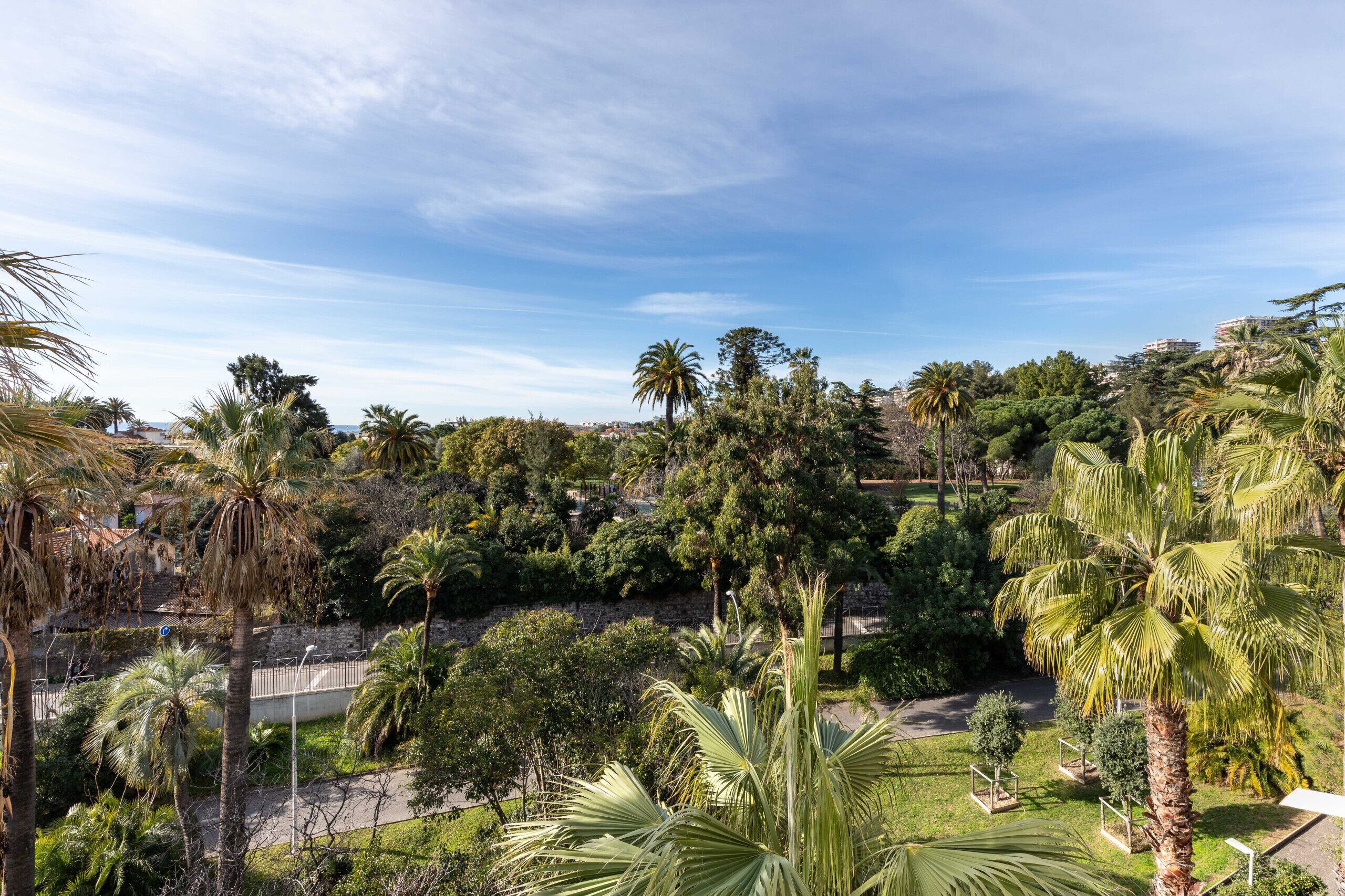 A lush garden with palm trees and various shrubs, a paved walkway, and a distant view of buildings.