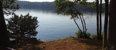 A lakeside view with a bench and trees.