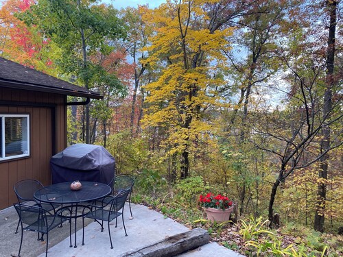 Odie's Cabin - A Northwoods Get Away