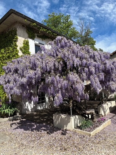 Charming accommodation with spa  律‍♂️ And electric charging station 