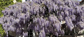 Charming accommodation with spa  律‍♂️ And electric charging station 