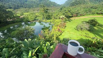 Free daily full breakfast