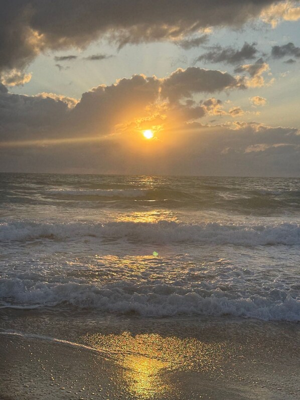 Apartment | Beach | On the beach