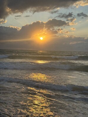 Apartment | Beach | On the beach