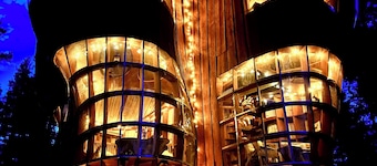 Incredible tree house on your own private island on a huge lake