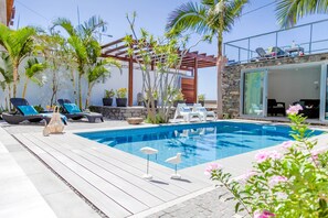 Una piscina con sillas de descanso y una pérgola, rodeada de palmeras y plantas en macetas.