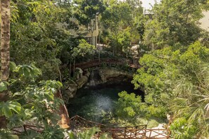 Property grounds - Luxury Villa with Cenote & Pool | Concierge | Perfect for Families or Groups (Tulum)