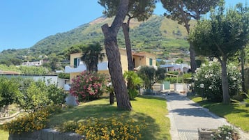 Área da propriedade