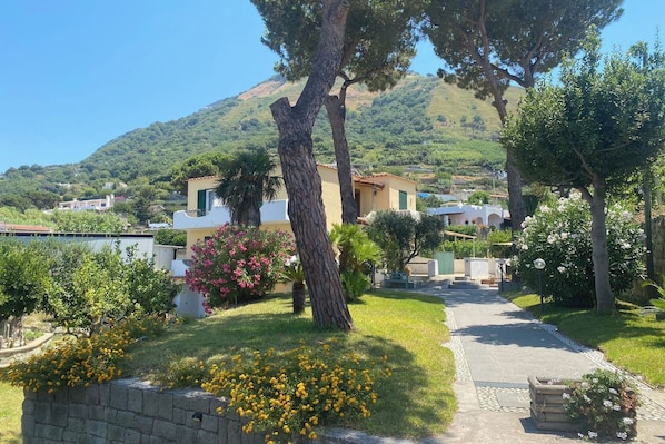 Property grounds - The Vineyard (Forio)