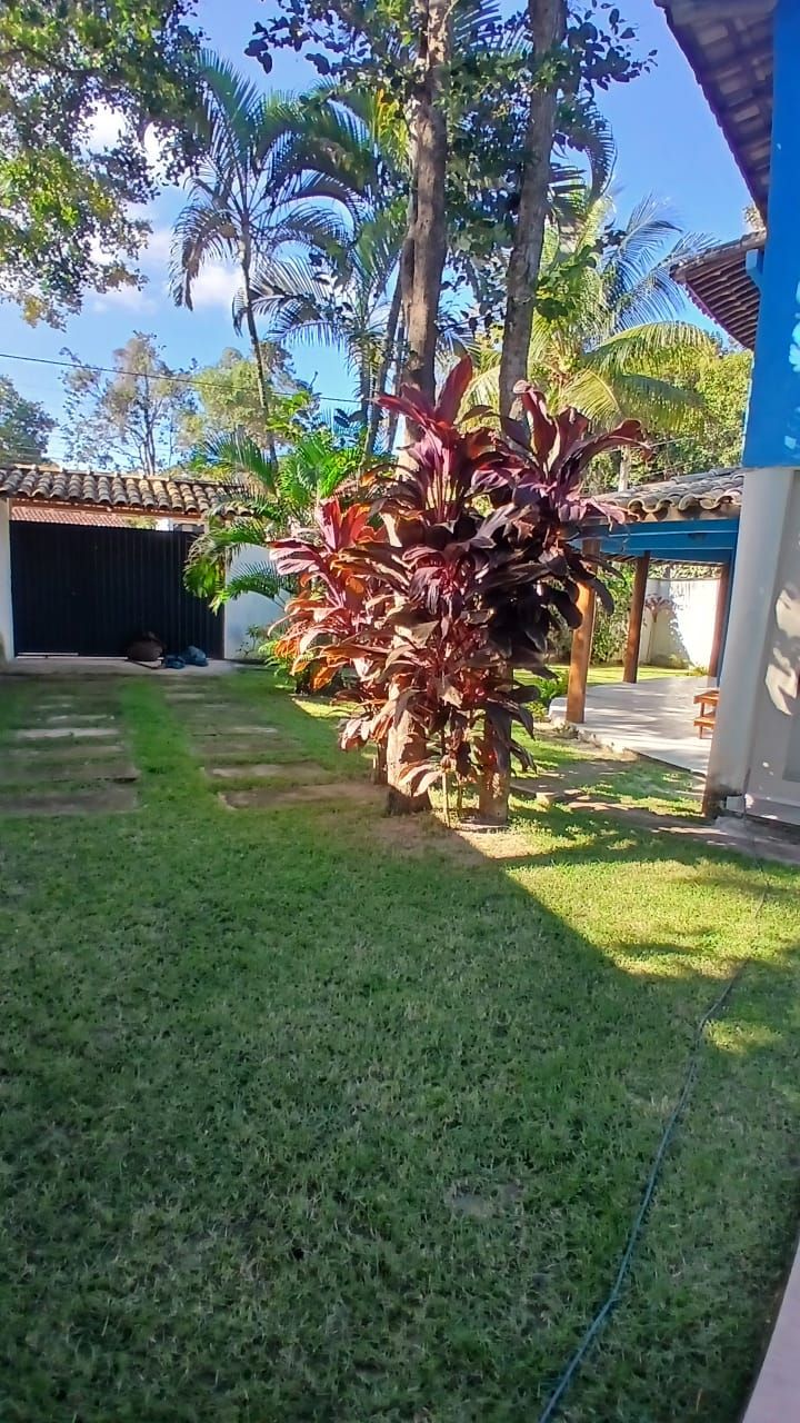 Ein gepflegter Garten mit vielfältigen Pflanzen, einem klaren Himmel und einem Gebäude mit Ziegeldach.