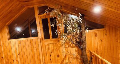 Jibhi Bliss Treehouse Cottage
