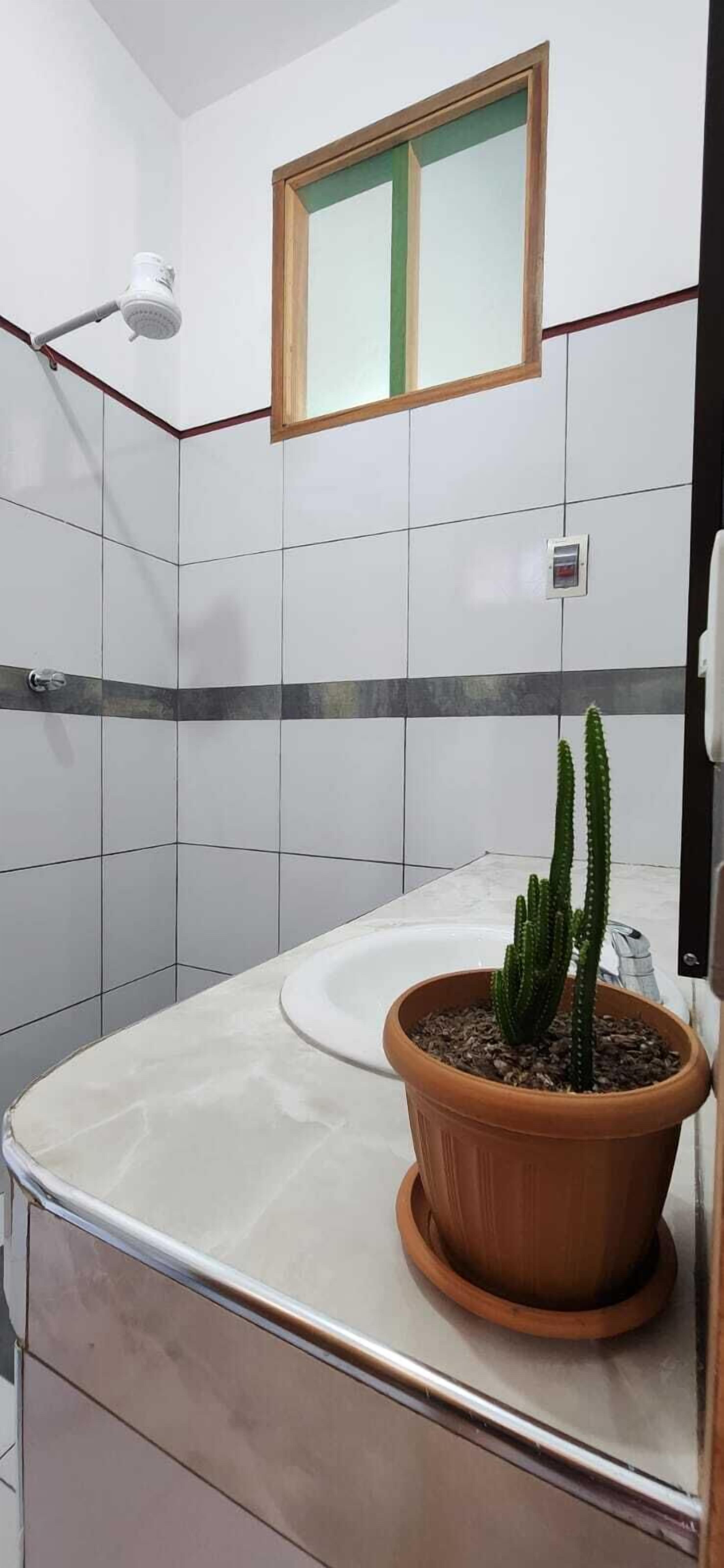 Buồng tắm vòi sen, khăn tắm, giấy vệ sinh 