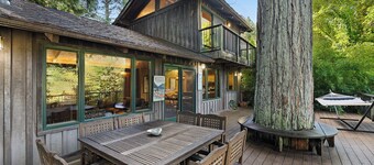 The Old Timer ~ Classy Cabin On River, Near Golf, Dog Friendly!
