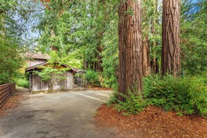 Property grounds - The Old Timer ~ Classy Cabin On River, Near Golf, Dog Friendly! (Monte Rio)