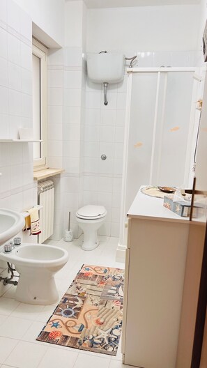 Regadera, secadora de cabello, bidet, toallas 