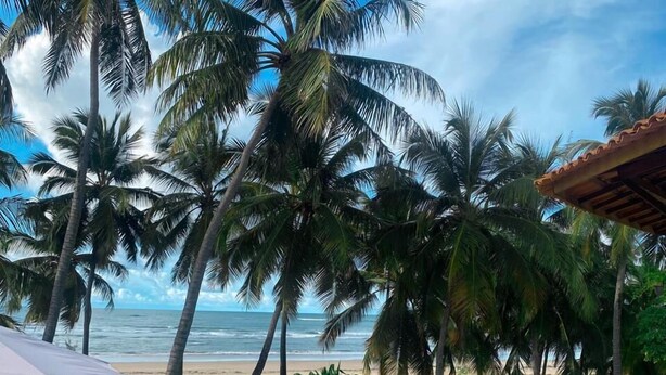 Una piscina con dos sillas de descanso, rodeada de palmeras y vista a la playa.