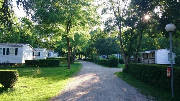 A gravel path leading to mobile homes surrounded by trees and greenery. - Smart Home Paris mit Terrasse, Europapark, Rulantica 15min (Boofzheim)