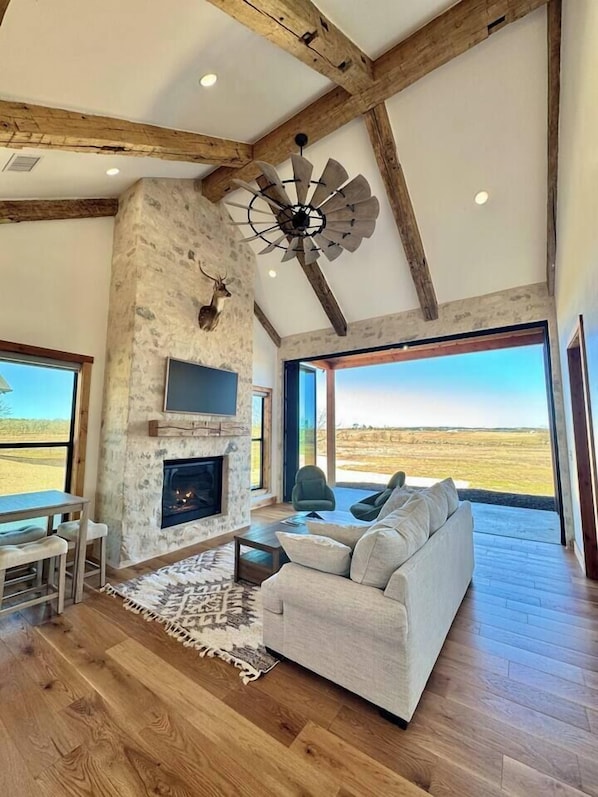 TV, fireplace