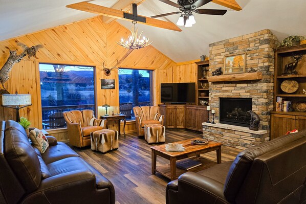 Televisión, chimenea, libros