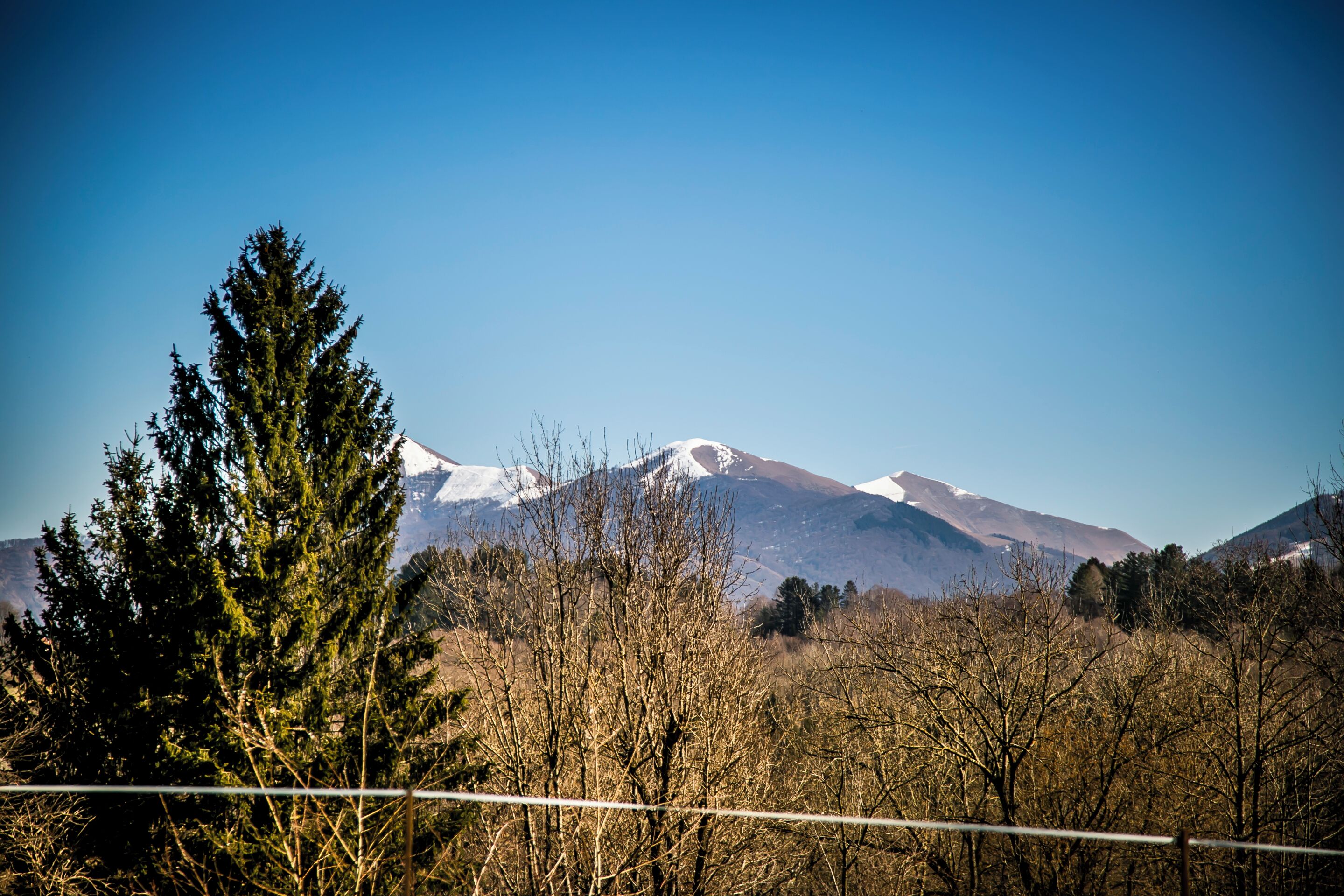 Un paysage de montagne avec des sommets enneigés, un ciel bleu dégagé et, au premier plan, des arbres sans feuilles.