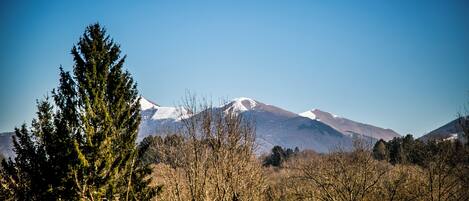 Un paysage de montagne avec des sommets enneigés, un ciel bleu dégagé et, au premier plan, des arbres sans feuilles.
