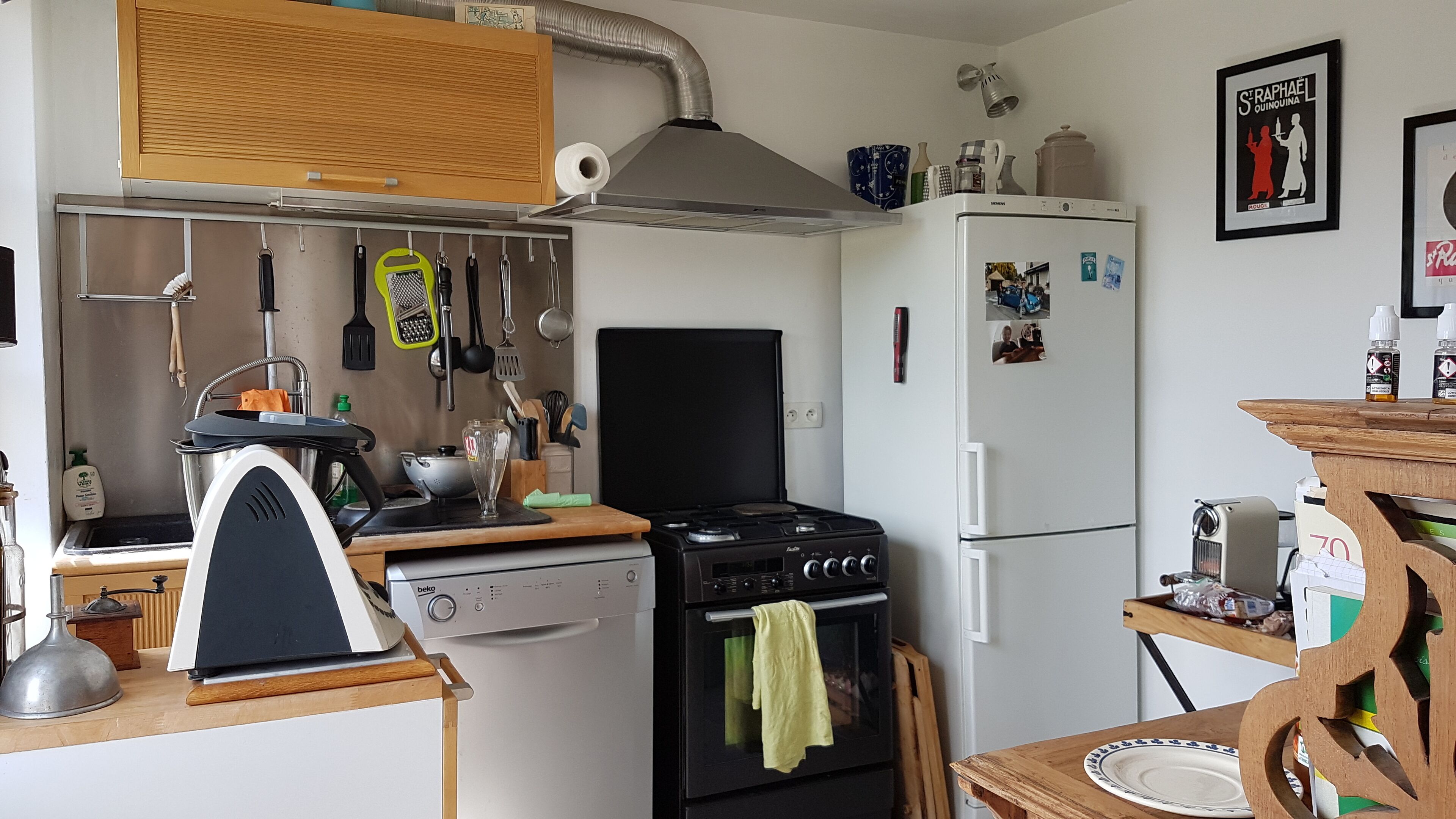 Kühlschrank, Ofen, Herdplatte, Geschirrspüler