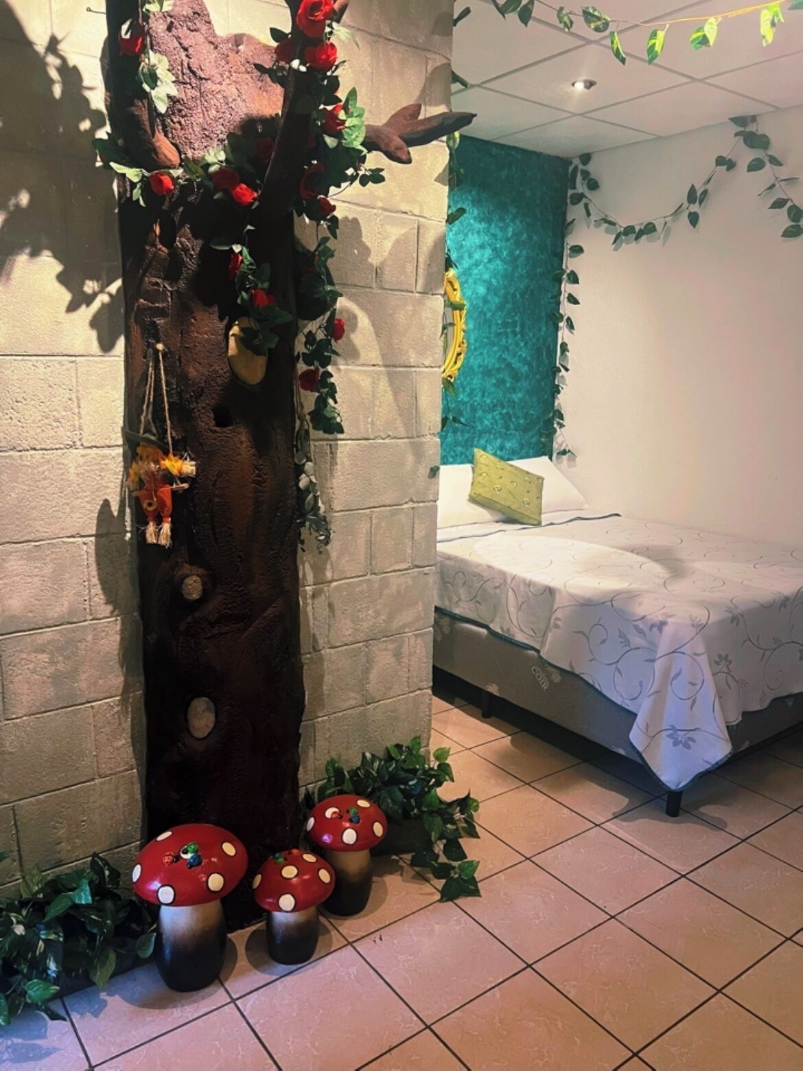 Photo - "The Enchanted Forest" at The Alchemist Cafe - Shuttle services available