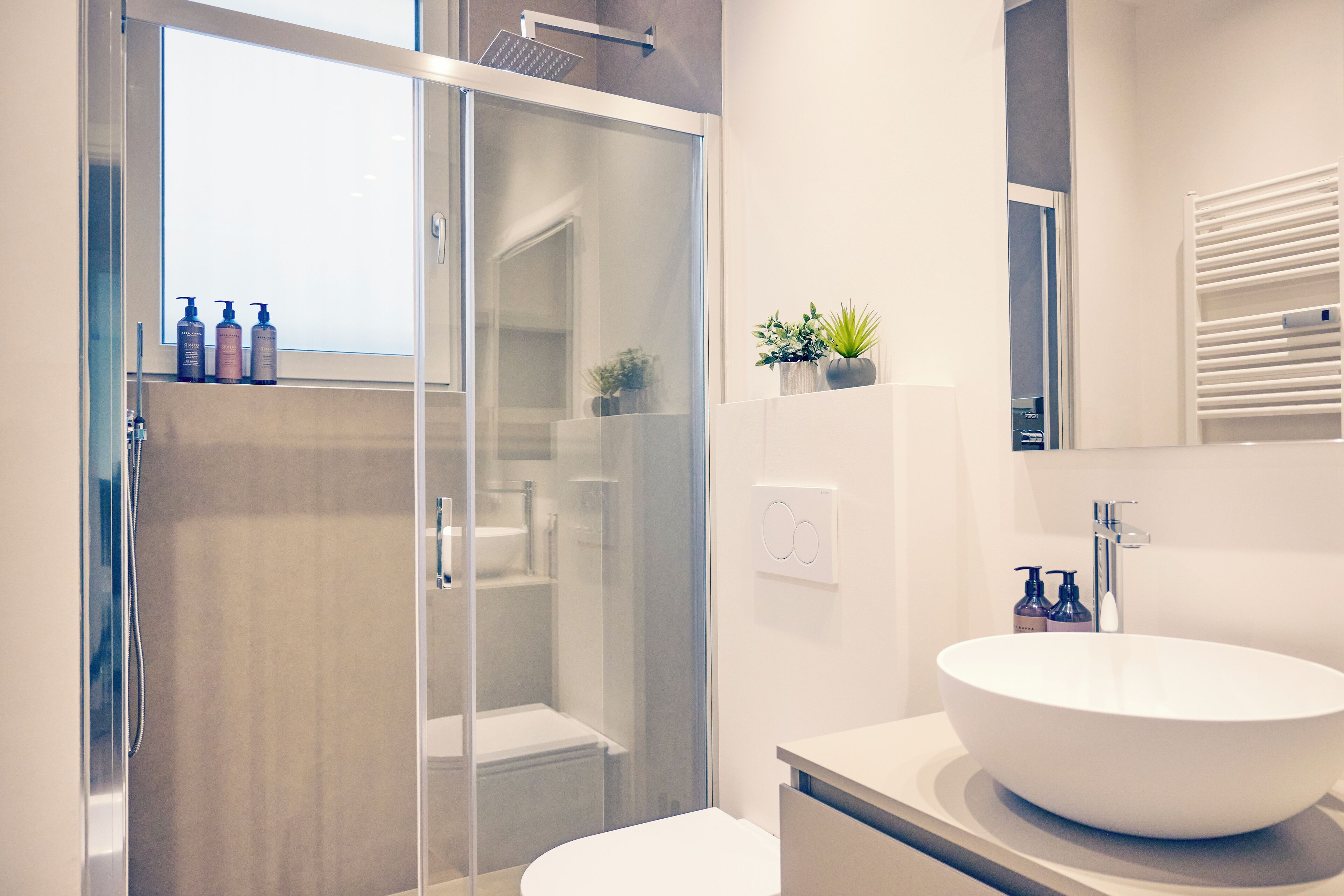 A modern bathroom with a glass shower enclosure, a white sink, and a small potted plant on the countertop.